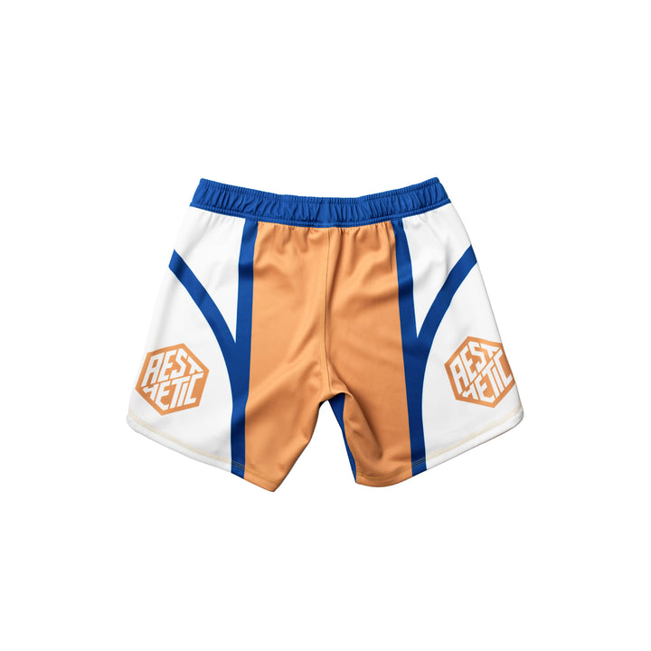 AESTHETIC Cross Combat BJJ Shorts – Royal back view